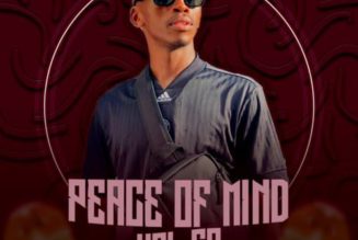 DJ Ace – Peace Of Mind Vol 69 (Thabang Monare’s Birthday Special Ama45 Mix)