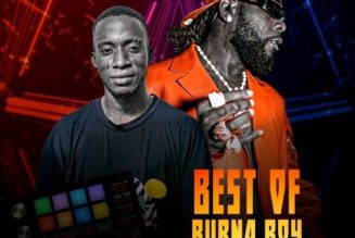 DJ Amacoz - Best Of Burna Boy 2023 Mix [I Told Them] (Mixtape)