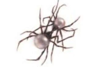 Doja Cat - Balut (Lyrics) (Mp3 Download) — NaijaTunez