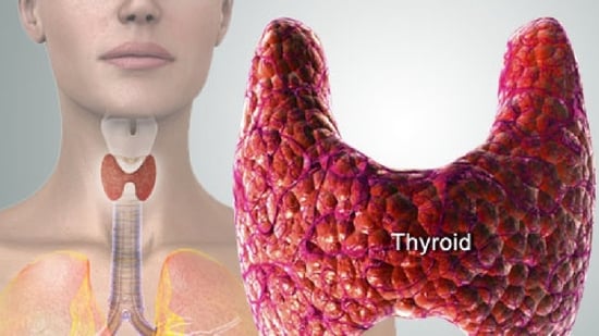 1. Thyroid Function Tests: The thyroid gland plays a crucial role in regulating metabolism. If the thyroid gland is underactive (hypothyroidism), it can lead to a slow metabolism, making it easier to gain weight. Despite eating healthy, individuals with hypothyroidism may struggle to lose weight or even experience weight gain. Thyroid function tests, such as TSH (Thyroid Stimulating Hormone) and T4 (thyroxine) levels, can help assess the thyroid's functioning and identify any issues that may be contributing to weight changes.&nbsp;(Twitter/WebMD)