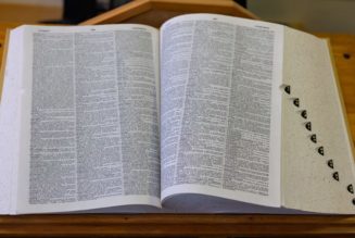 "Goated," "Rizz," "Bussin," "Simp" and More Added to the Merriam-Webster Dictionary