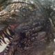 Godzilla Wrecks Havoc on Japan in ‘Godzilla Minus One’ Trailer