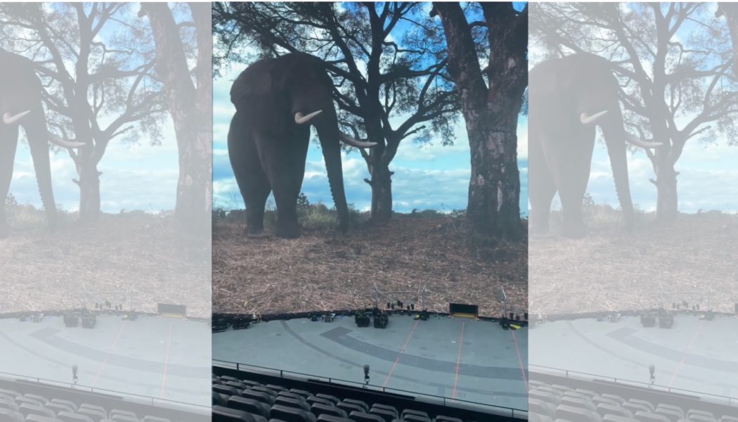 MSG Sphere: Get a first look inside Las Vegas' new $2.3 billion venue