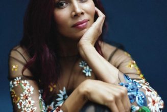 Rhiannon Giddens, mining the origins of American music - The Bay State Banner