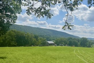 Three-Day Music Festival Bringing National, Local Acts to Penns Valley Farm