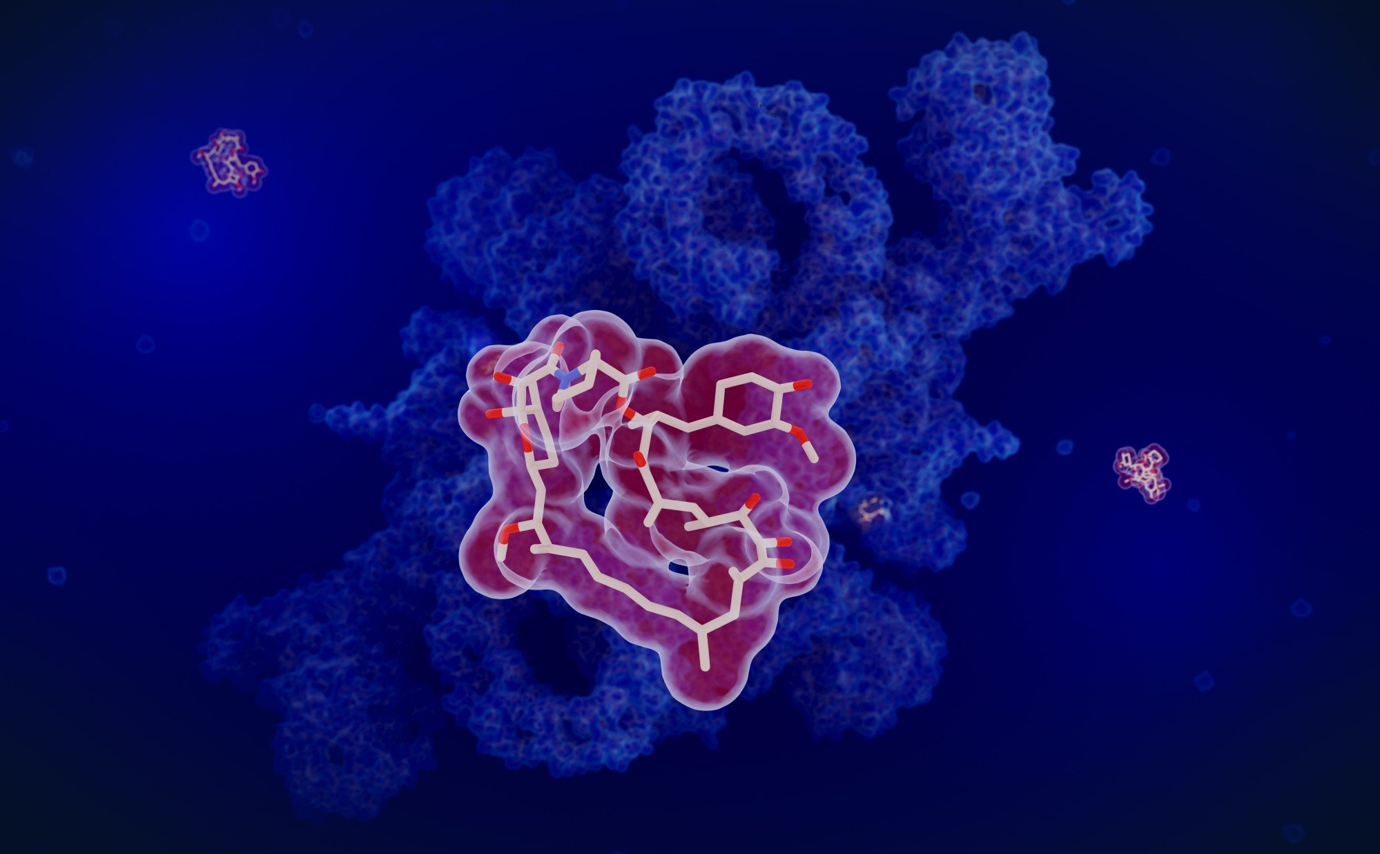 Rapamycin stops cancerous cells from growing and multiplying, and shows plenty of promise in slowing cell degeneration. Photo: Shutterstock