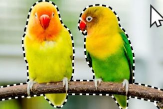 Adobe Unveils New AI-Powered Tools for Photoshop and Premiere