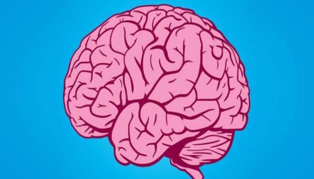 Brain: Boost Your Cognitive Function By Incorporating These Changes To Your Lifestyle