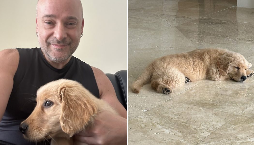 Disturbed singer David Draiman's missing puppy returns home