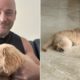Disturbed singer David Draiman's missing puppy returns home