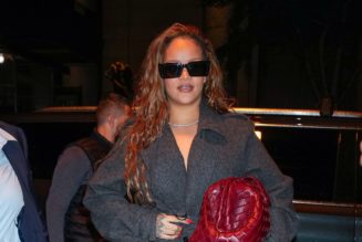 Rihanna Planning 2024 World Tour and New Music