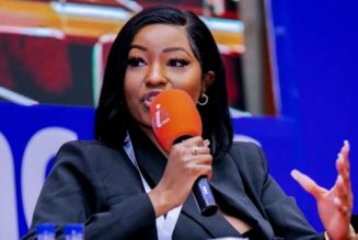 Africa and the diaspora on ACCES 2023 agenda