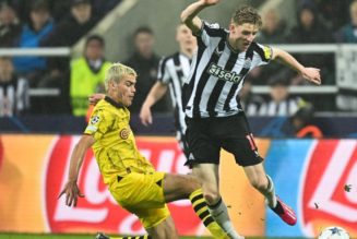 Borussia Dortmund vs Newcastle: How to watch live, team news, live updates