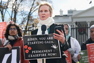Cynthia Nixon joins hunger strike calling for permanent ceasefire in Gaza