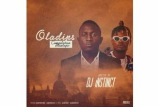 DJ Instinct - Best of Oladips Mix 2023 (Mixtape)