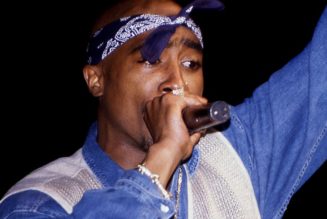 DJ Master Tee Files Copyright Infringement Lawsuit Over 2Pac's "Dear Mama"