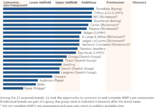 Luxury brands slow to improve transparency as consumer pressure grows