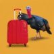 Our best advice for Thanksgiving travel