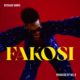 Reekado Banks – Fakosi — NaijaTunez