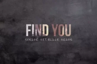 Senior Oat – Find You ft. Alice Orion — NaijaTunez