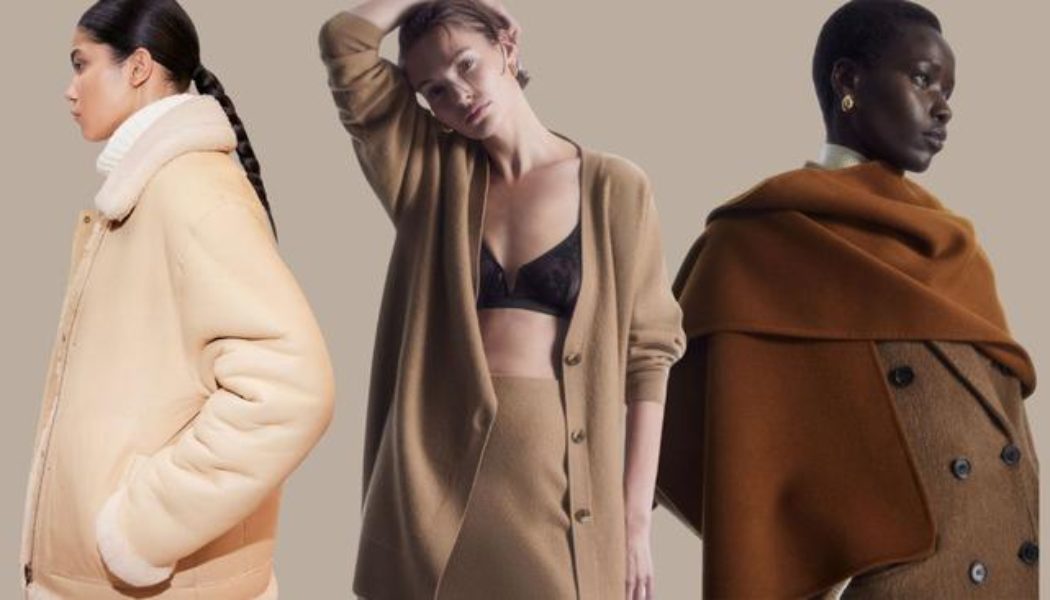 33 New-In Pieces From COS, Mango and H&M That You'll Mistake for Designer