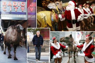 Alec Baldwin, PETA send letter demanding Radio City Music Hall stop using live animals in Christmas show