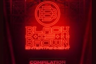 Black Is Brown Compilation Vol. 3 (MP3 DOWNLOAD) — NaijaTunez