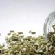 Can fennel seeds with two almonds at bedtime help improve vision?