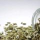 Can fennel seeds with two almonds at bedtime help improve vision?