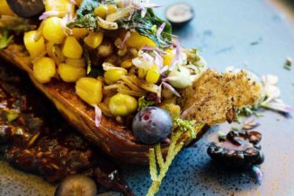 Chris Hemsworth’s fasting, 10 diet secrets: 7 top wellness stories of 2023