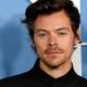 Harry Styles bringt erotische Düfte raus: Wird seine Brand Pleasing damit Erfolg haben?