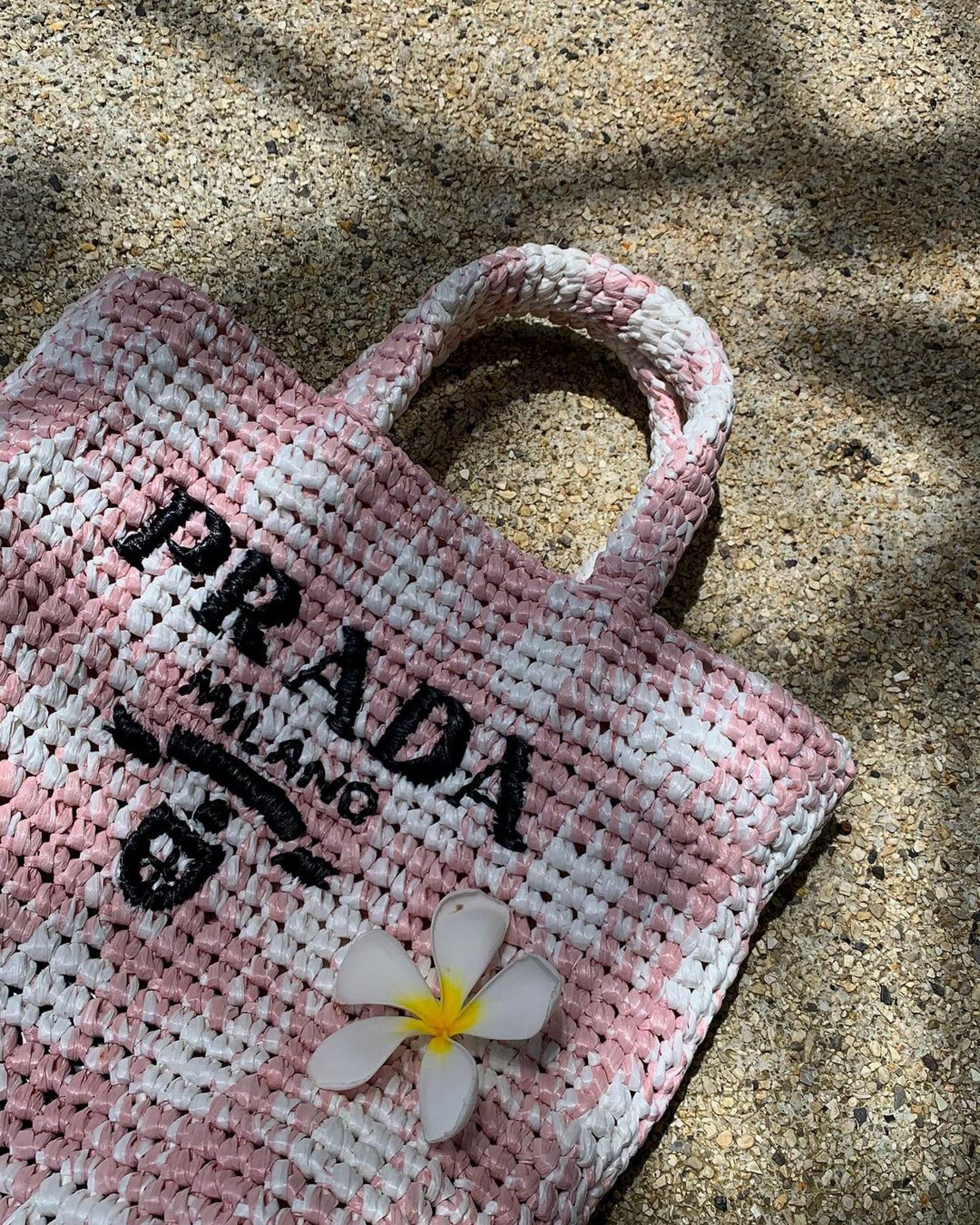 Karena Ng posting a photo of her pink and white chequered Prada beach tote. Photos: @karena_ngs/Instagram