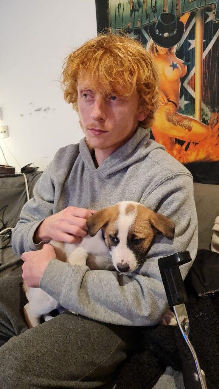 Yotam Haim יותם חיים