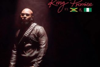King Promise – Terminator (Remix) Ft. Sean Paul & Tiwa Savage (MP3 DOWNLOAD) — NaijaTunez