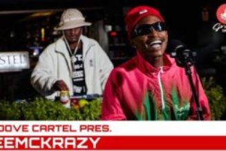 LeeMckrazy - Amapiano Mix Groove Cartel