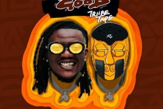 Pheelz – Joy Ft. Olamide (MP3 DOWNLOAD) — NaijaTunez