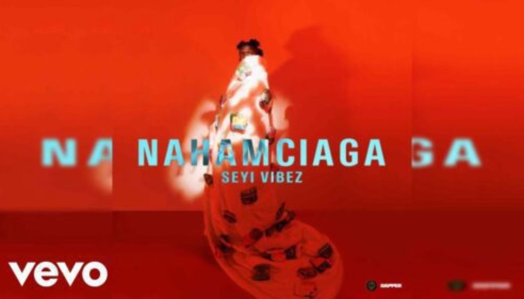 Seyi Vibez - Apala Interlude