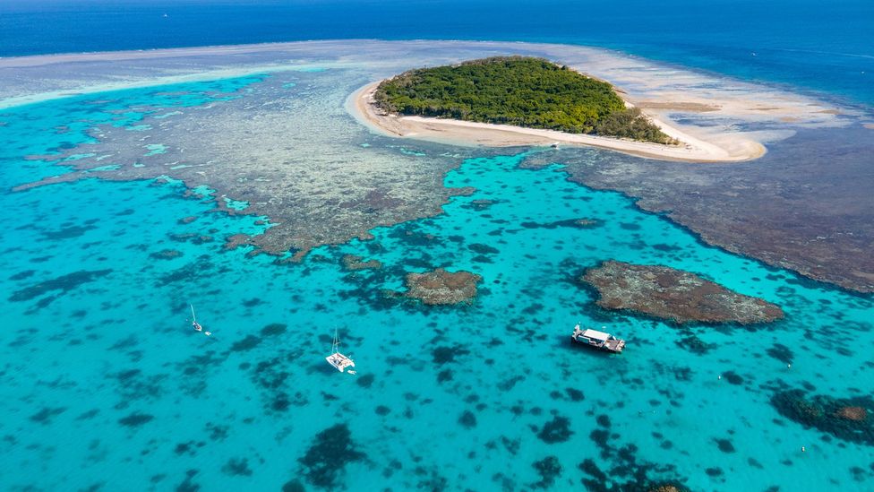 Few visitors make it to the Southern Great Barrier Reef, but those who do are rewarded with beautiful islands like Lady Musgrave (Credit: Rani Zerafa/Getty Images) Few visitors make it to the Southern Great Barrier Reef, but those who do are rewarded with beautiful islands like Lady Musgrave (Credit: Rani Zerafa/Getty Images)