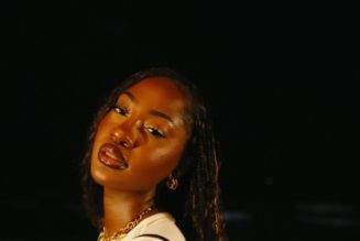 African stars to play Coachella 2024