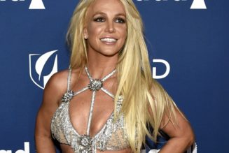 Britney Spears shoots down album rumors, vowing to 'never return to the music industry'