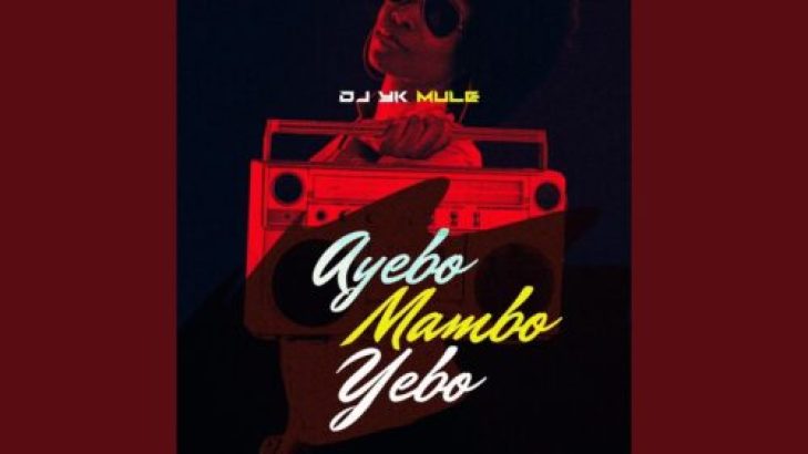 DJ YK Mule - Ayebo Mambo Yebo mp3 download