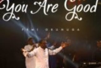 Femi Okunuga - You Are Good