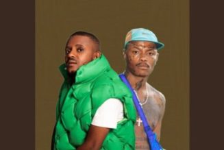 Kabza De Small & Shebe Shxt - Shisa Marn