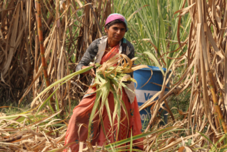 Luxury Brands Falling Short in Combating Forced Labor, Says New Report - RetailWire