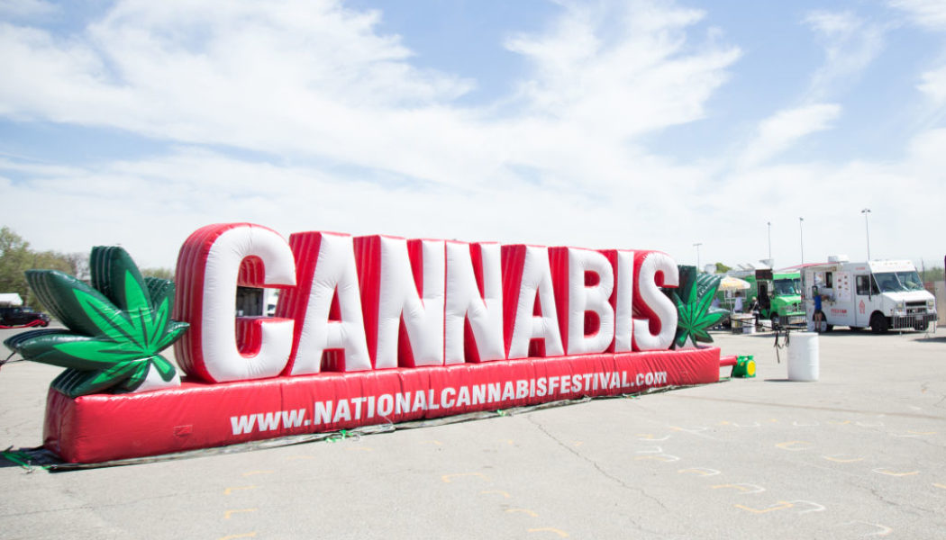 National Cannabis Festival Features Wu-Tang Clan & Thundercat