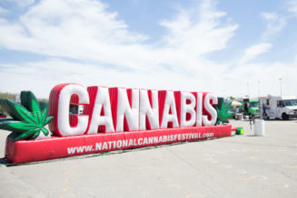 National Cannabis Festival Features Wu-Tang Clan & Thundercat