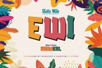 Shatta Wale – Ewi (Thief) Ft. Medikal (MP3 DOWNLOAD) — NaijaTunez