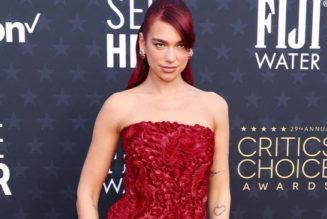 The Most Impressive Red Carpet Looks From the Critics Choice Awards