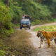 Tips for visiting Jim Corbett National Park: 12 dos and don'ts | Atlas & Boots