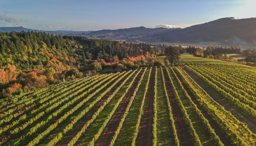 Willamette Valley named among the top travel spots in the US by Forbes